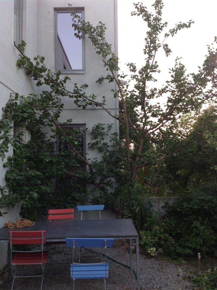 Wildaprikose wivena GmbH