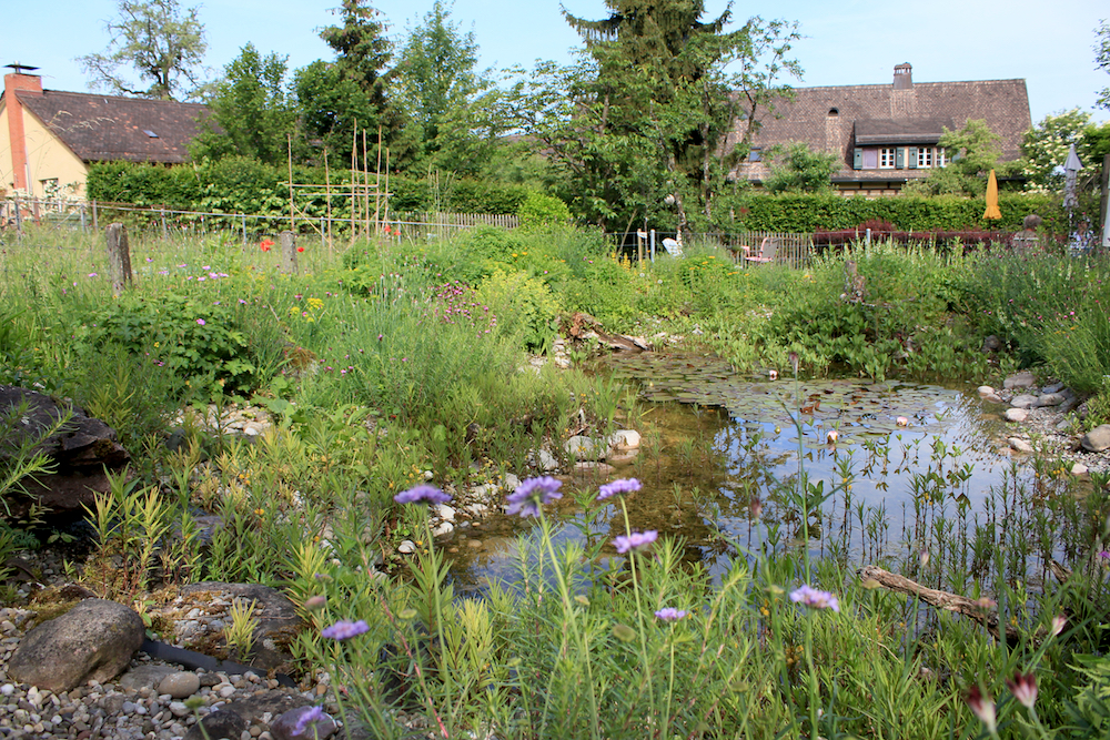 wivena GmbH Naturelemente Weiher