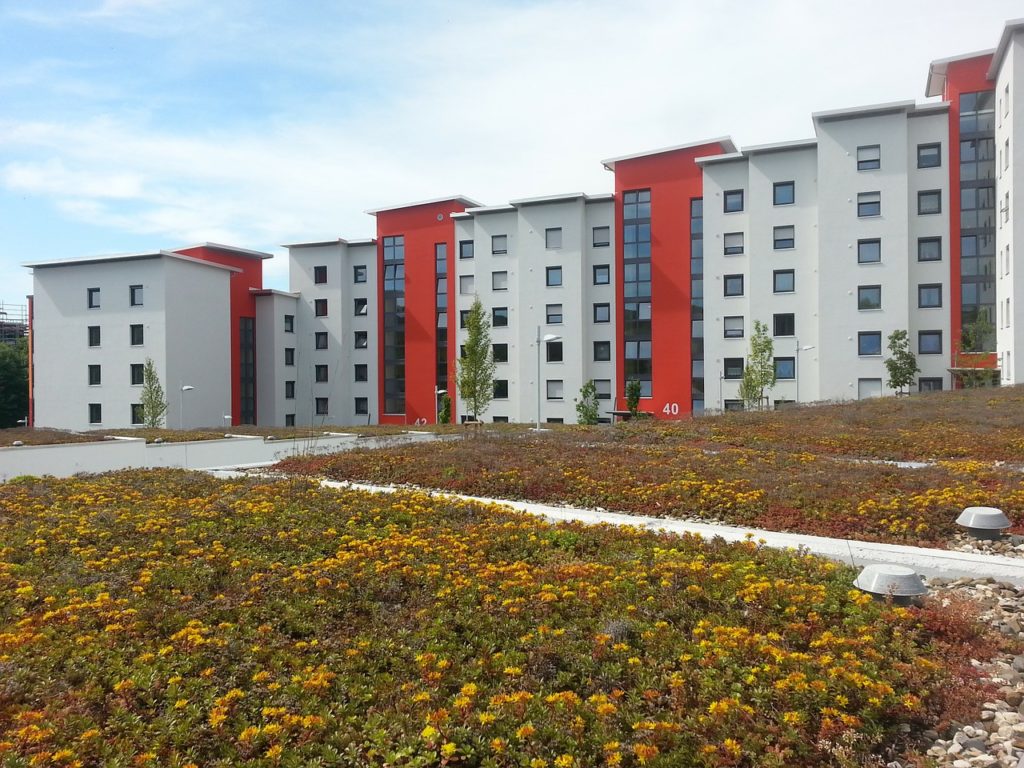 wivena GmbH Naturelemente Dachbegrünung