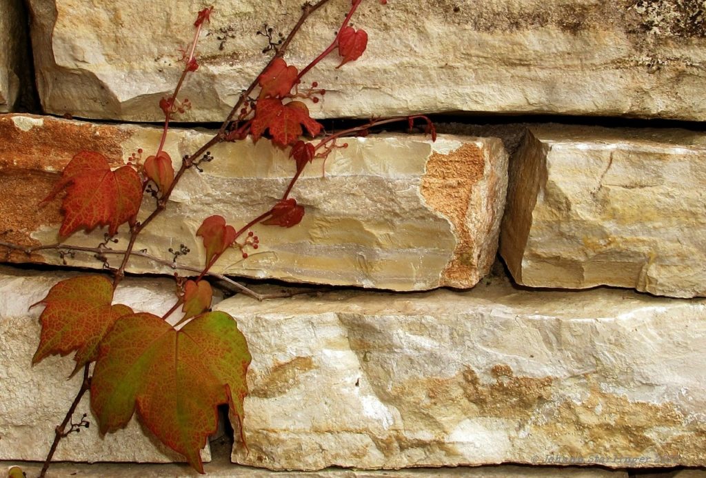 wivena GmbH Naturelemente Natursteinmauer